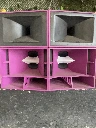 C3D Phase Plug Set